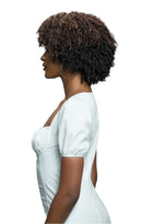 FEMI Ms Auntie Collection Synthetic Wig SYLVIA | Loc & Lovely Beauty Supply