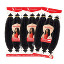 Outre X-Pression Twisted Up Springy Afro Twist 16" | Loc & Lovely Beauty Supply